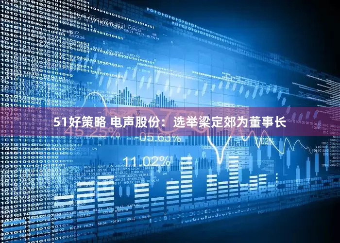 51好策略 电声股份：选举梁定郊为董事长